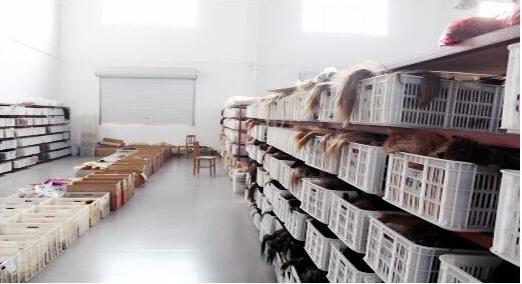 Hair Material Source